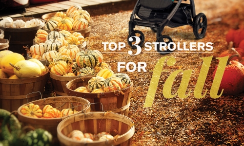 Favorite Fall Strollers