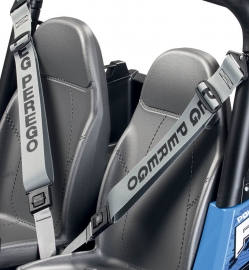 Rzr900 blue-seatbelts