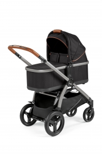 Z4 chassis bassinet agioblack
